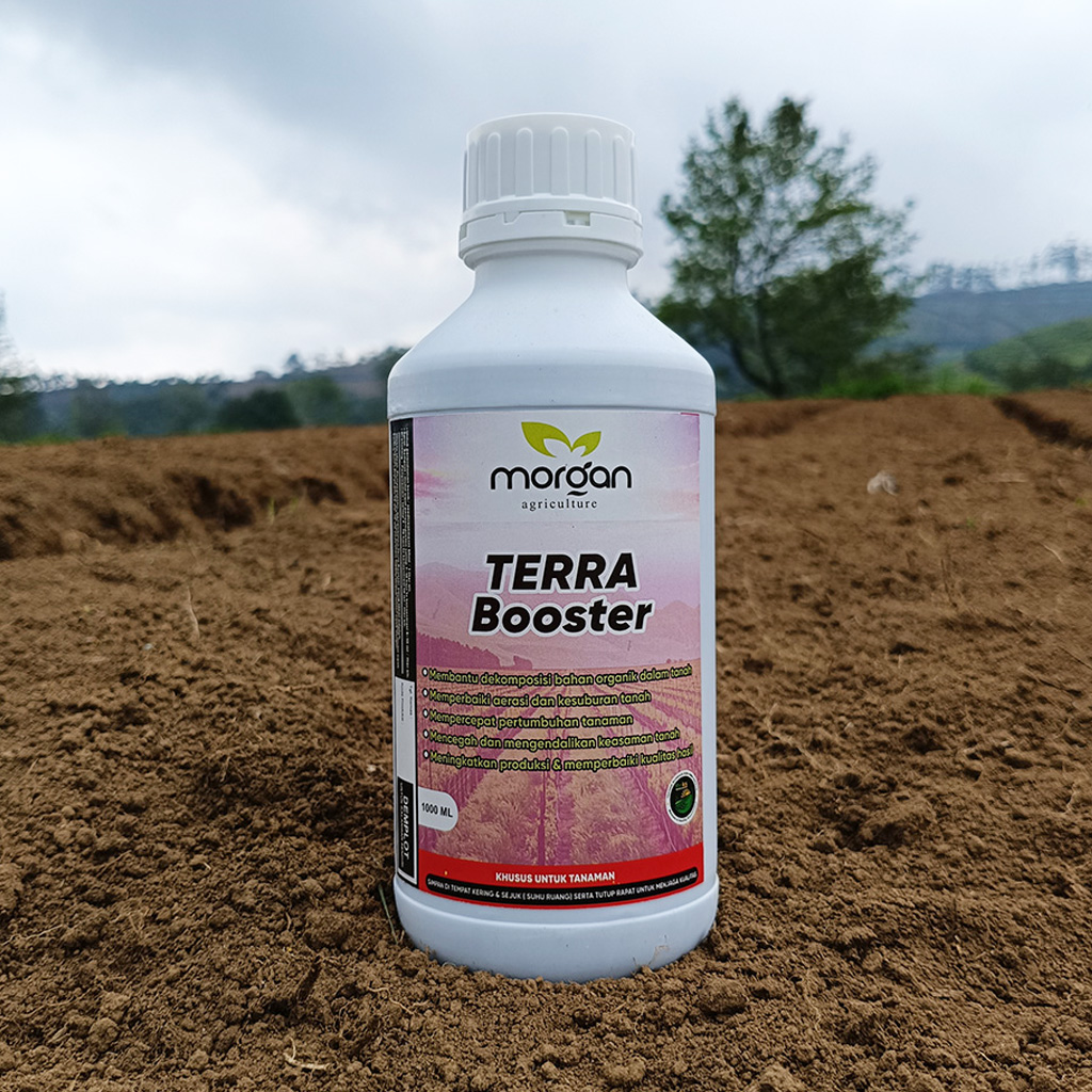 TERRA Booster (Morgan)